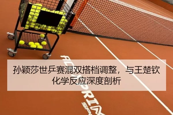 sun-ying-sha-shi-ping-sai-hun-shuang-da-dang-tiao-zheng-yu-wang-chu-qin-hua-xue-fan-ying-shen-du-pou-xi-2-276.jpg
